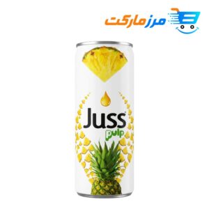 آبمیوه جوس Juss طعم آناناس 250 میلی‌لیتر